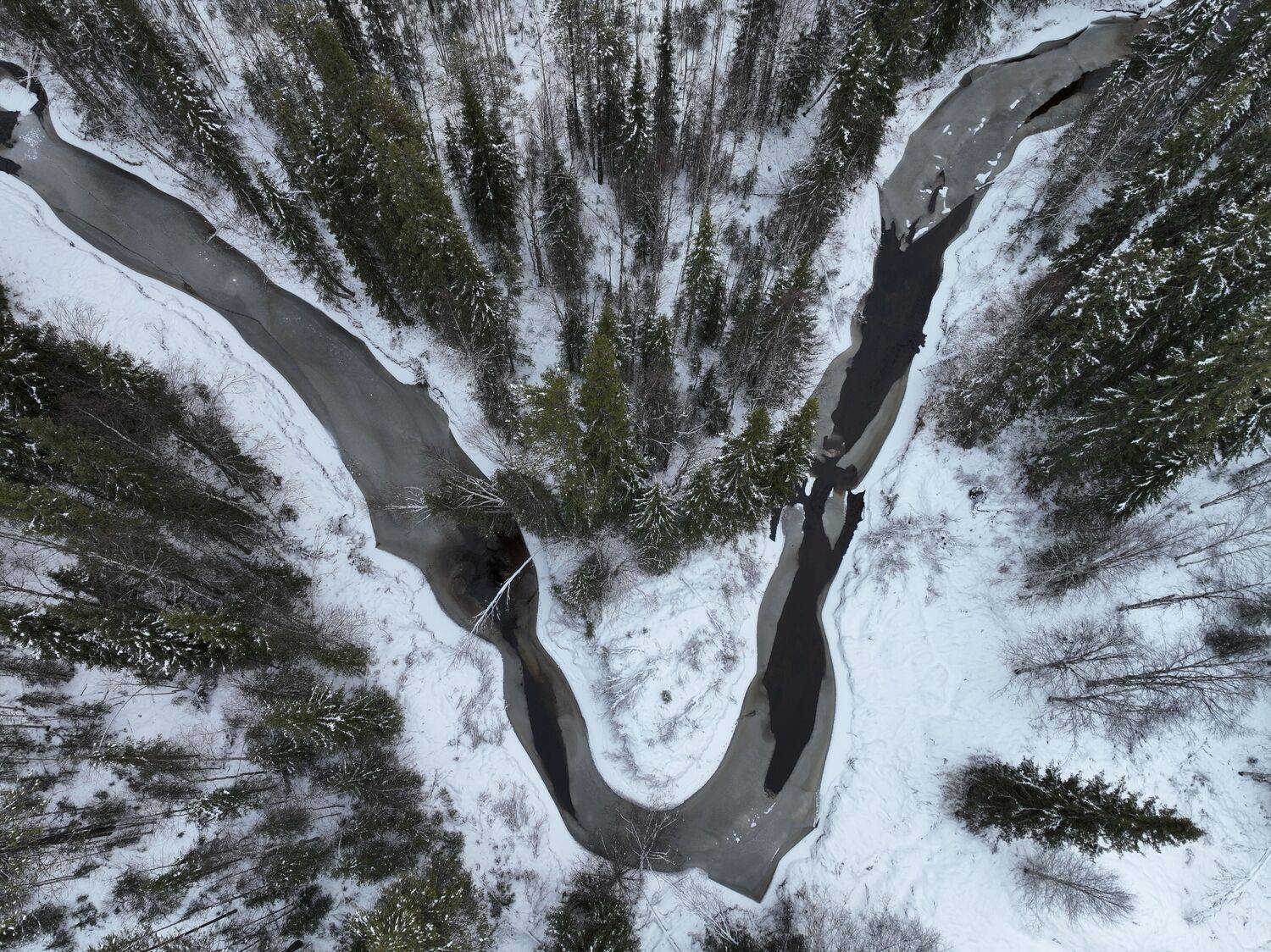 , Денис Гончаренко