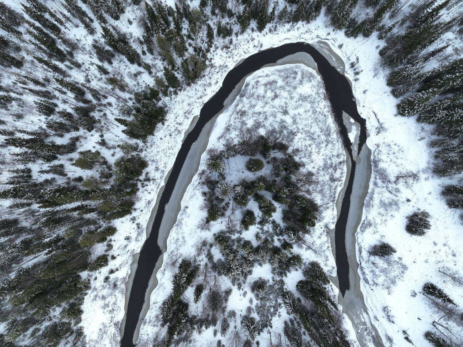 , Денис Гончаренко