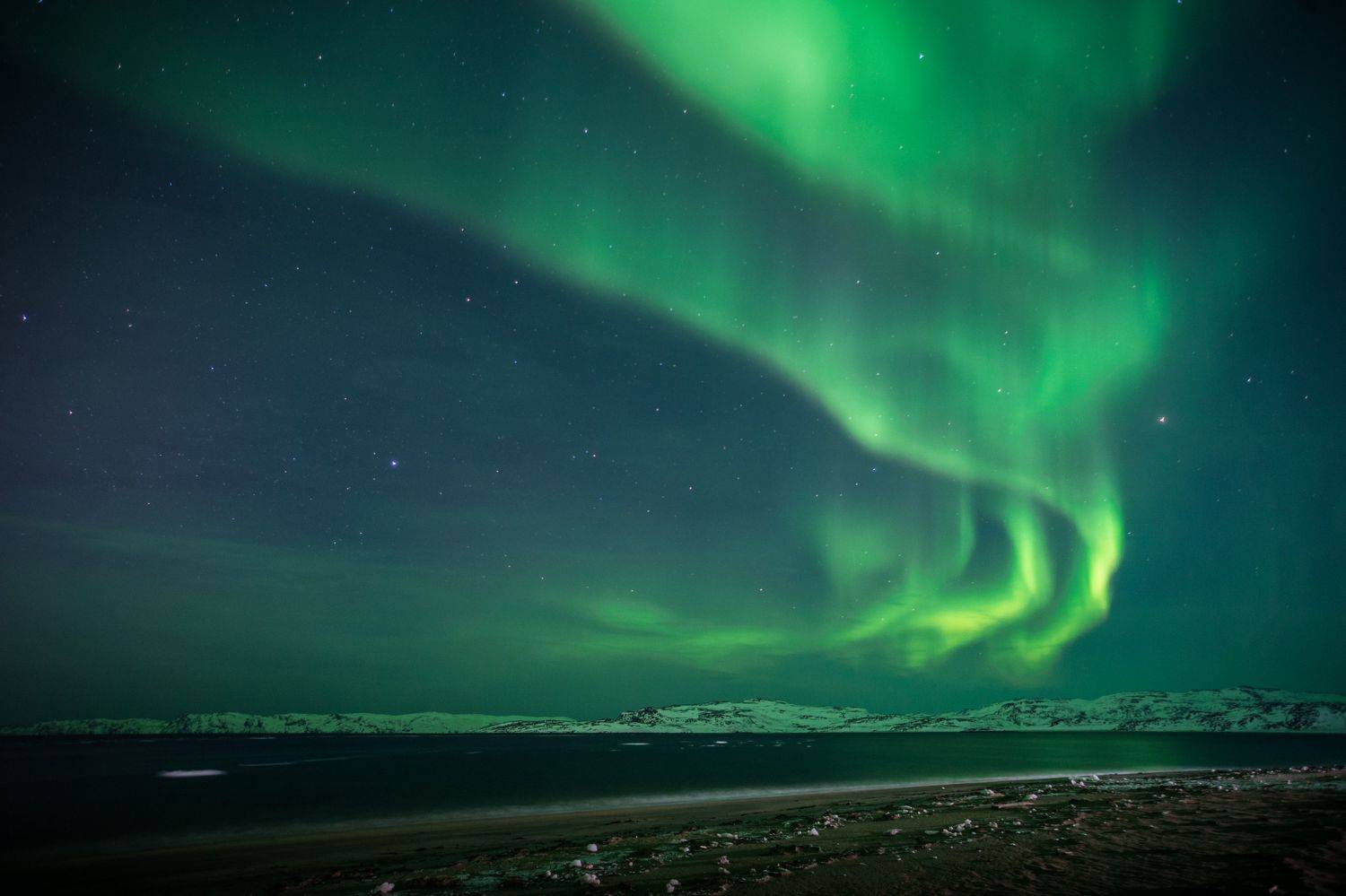 , Перевозчиков Андрей
