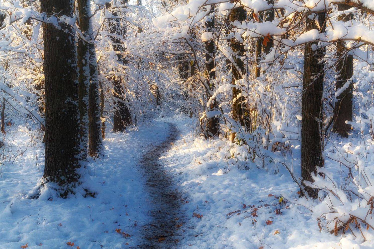 , Лысенко Сергей