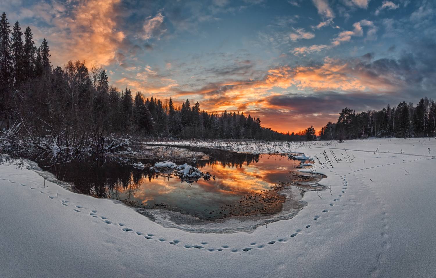 , Евгений Ерохин