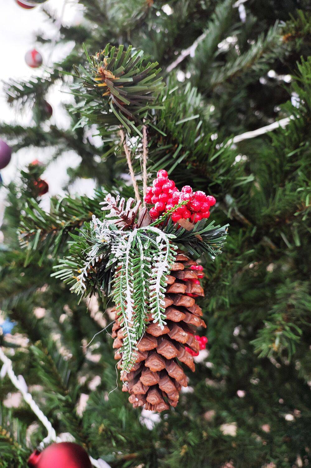 шишка, елка, Sergii Vidov