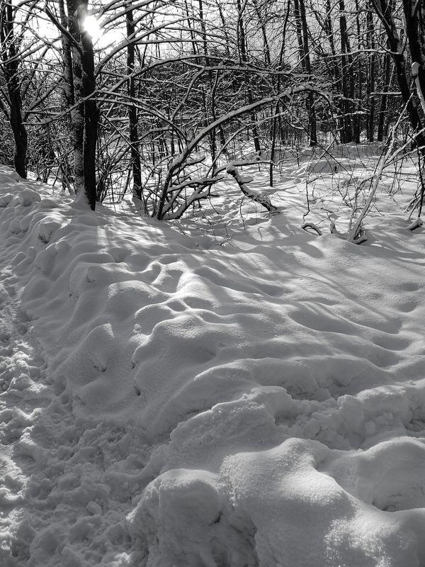 Зимние зарисовки или предновогодняя прогулка фото превью