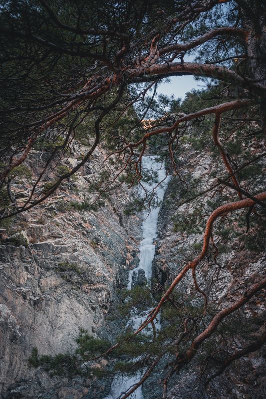 Зимний день. фото превью