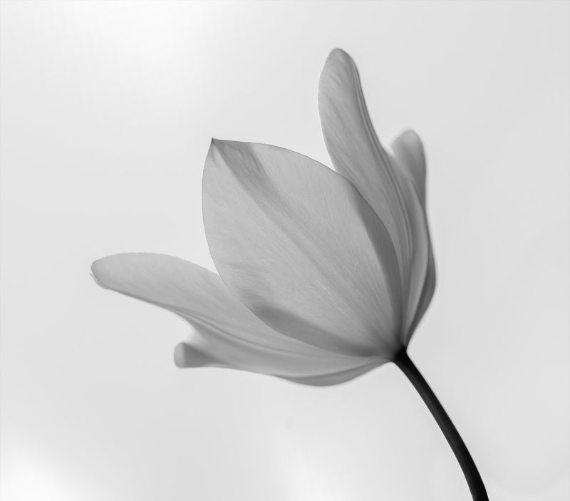 ... фото превью