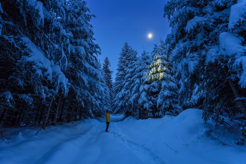 Holica фото превью