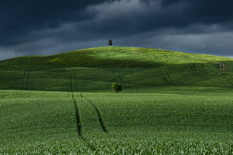 + + фото превью