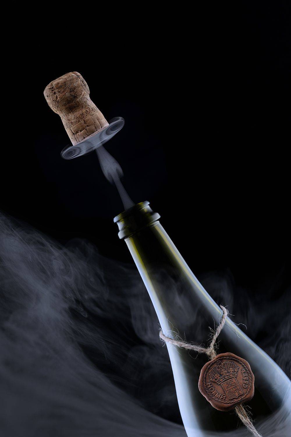 новый год, праздник, шампанское, Ольга ЯR