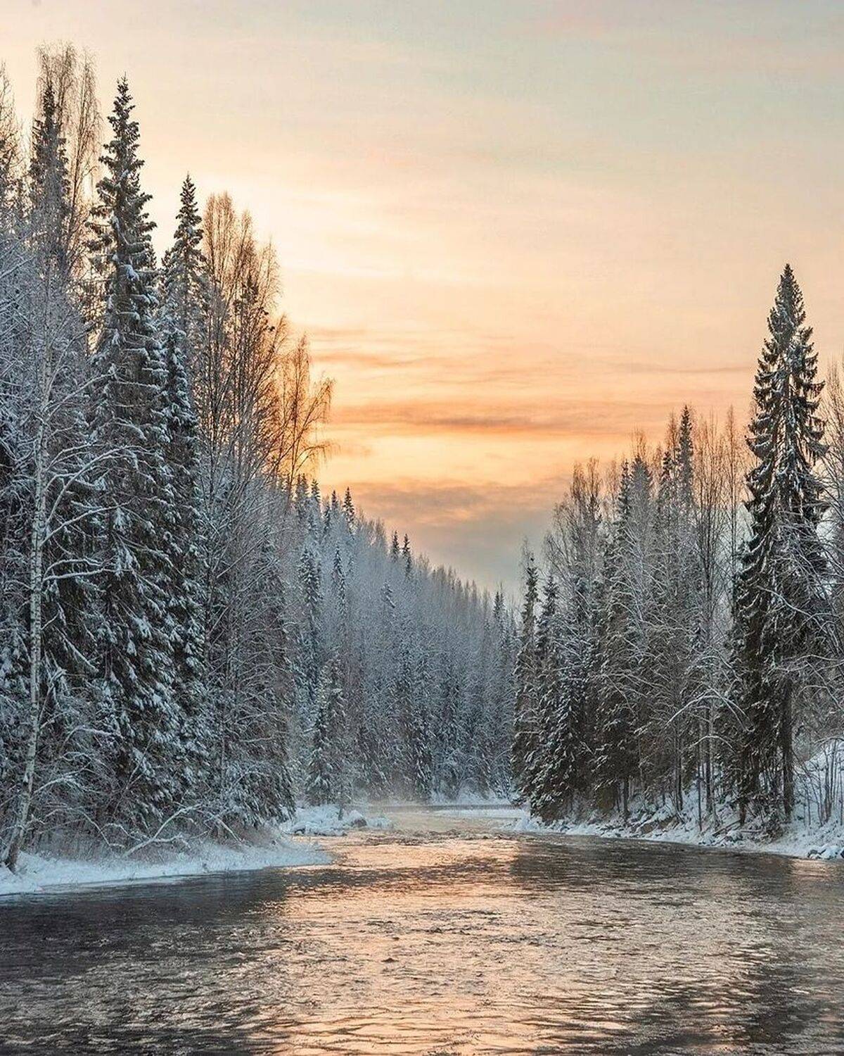 , Петр Косых