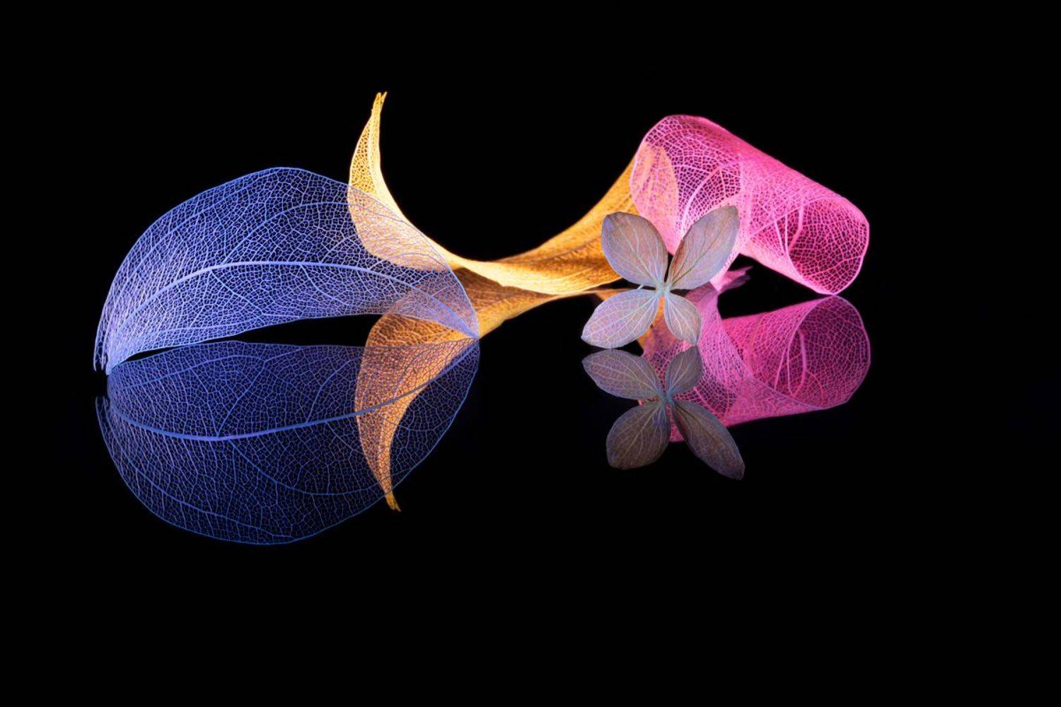 close-up, Игорь Копцев