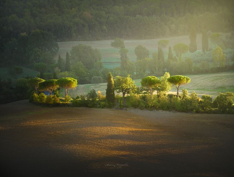 Poranek фото превью