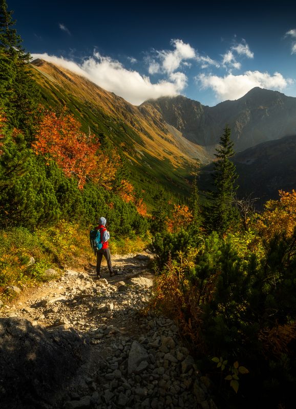 mountain, mountains, autumn, person, people, sunset Autumn road фото превью