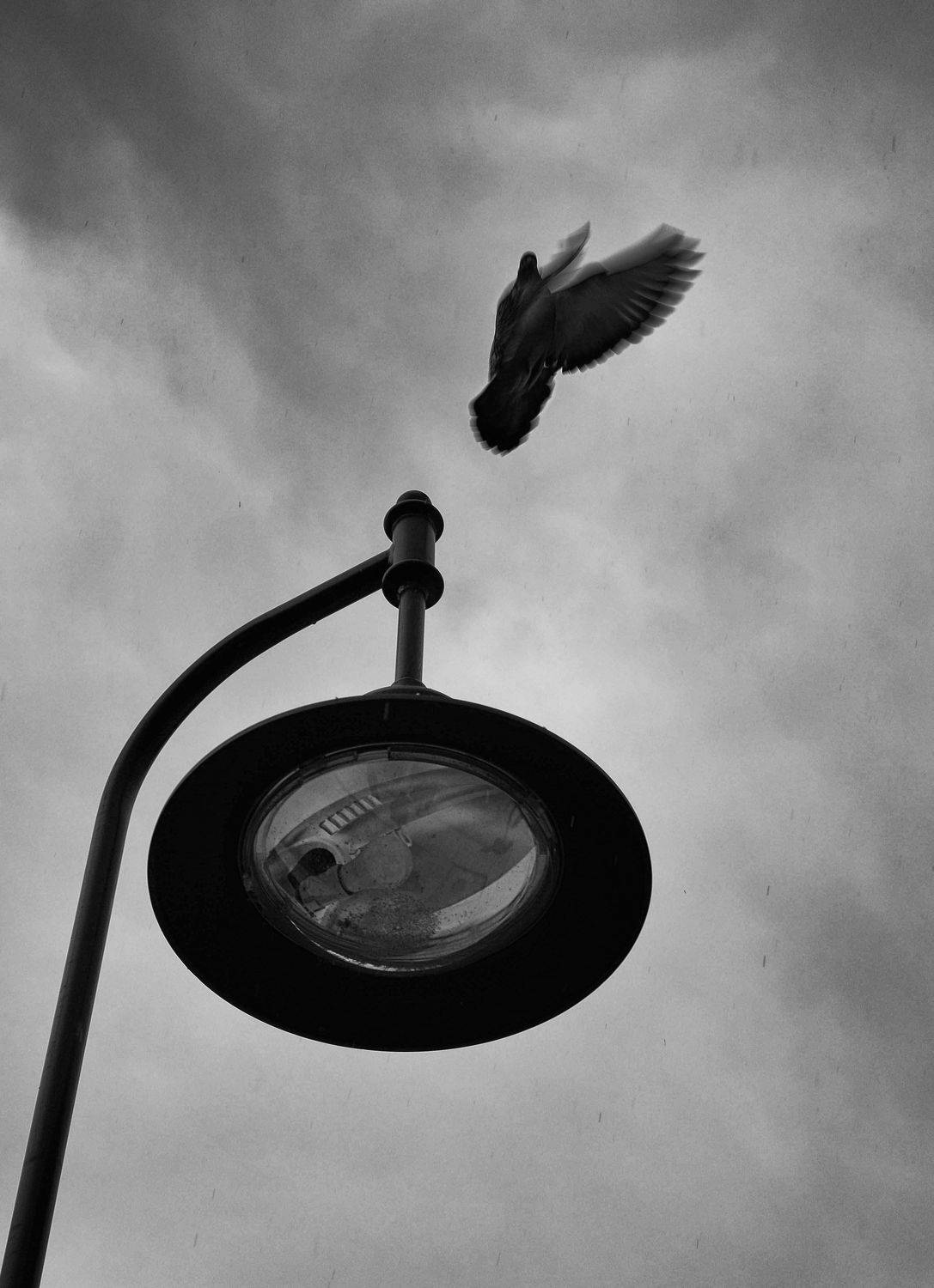 , Павел Мартюшев