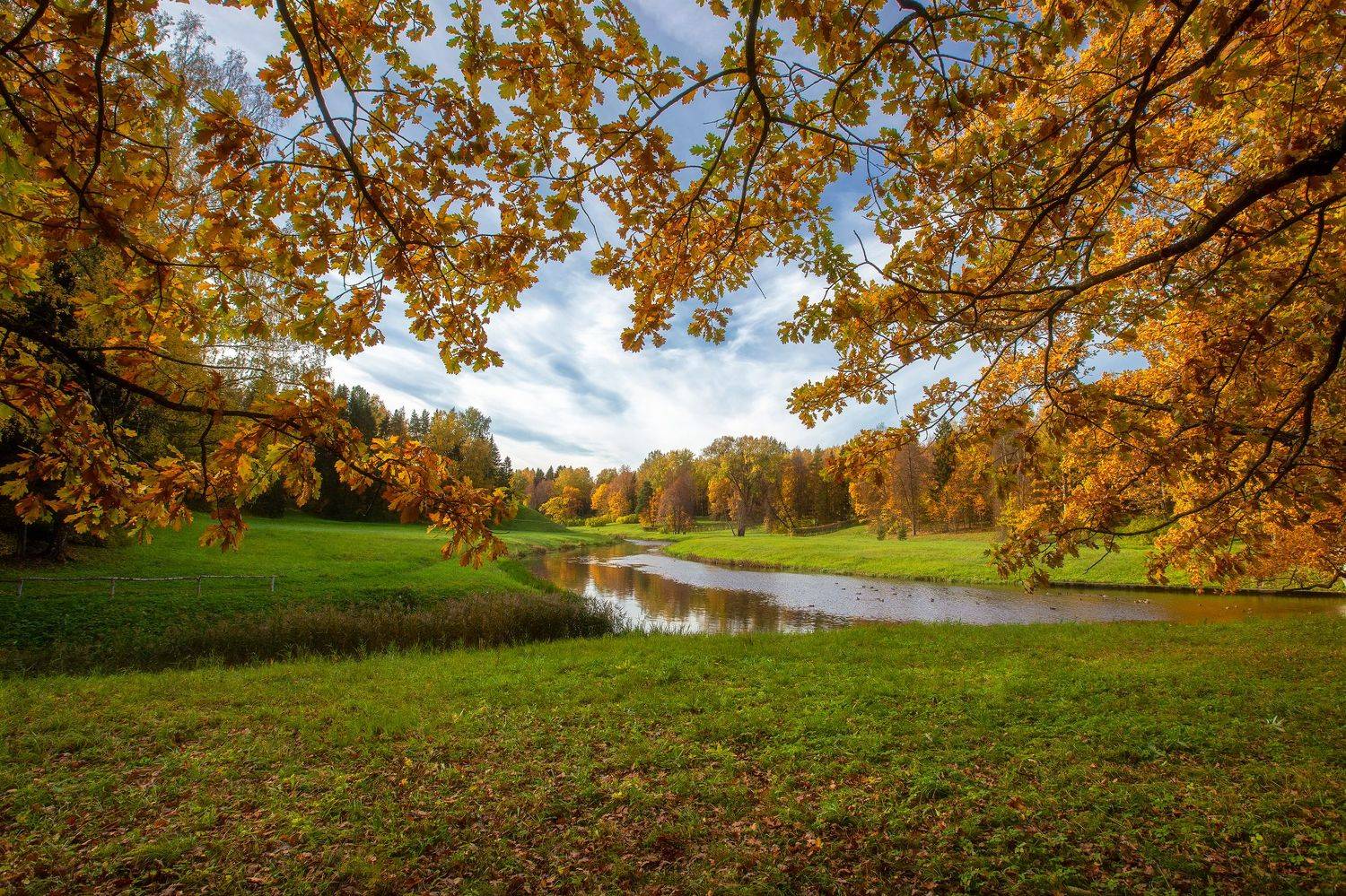 , Юрий Столыпин