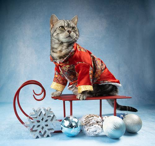 C Новым Годом! Happy New Year!