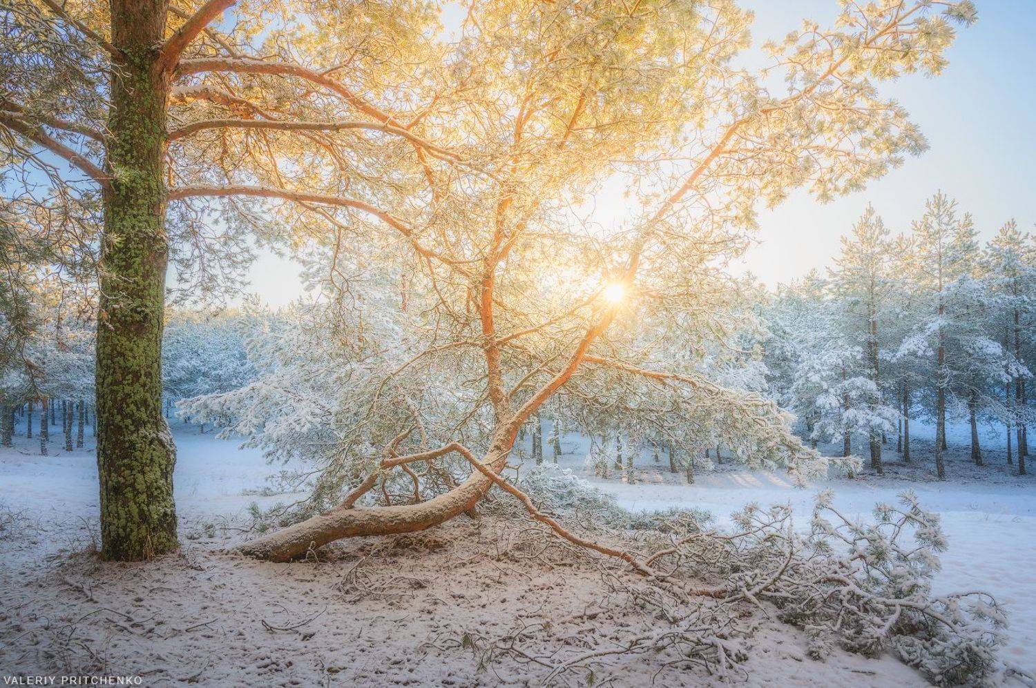 зима, утро, рассвет, мороз, пейзаж, природа, landscape, nature, sunrise, winter, snow, Валерий Притченко