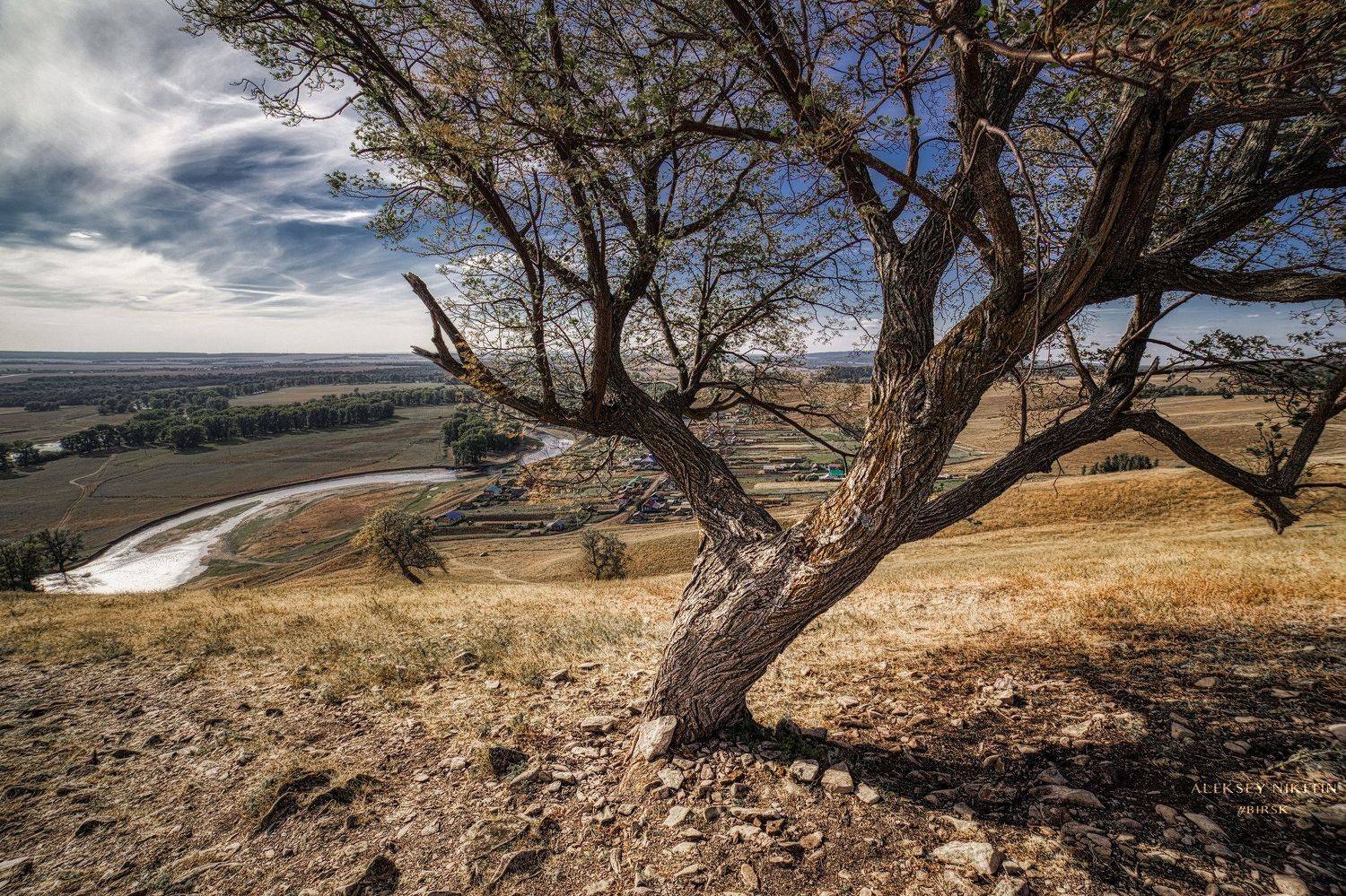 , Никитин Алексей