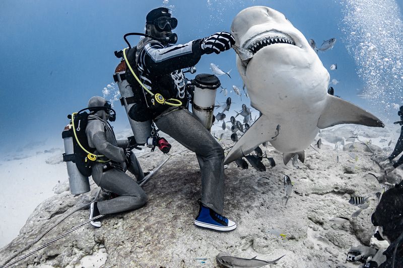 фото превью