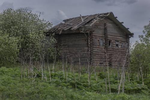 Об одном покинутом доме