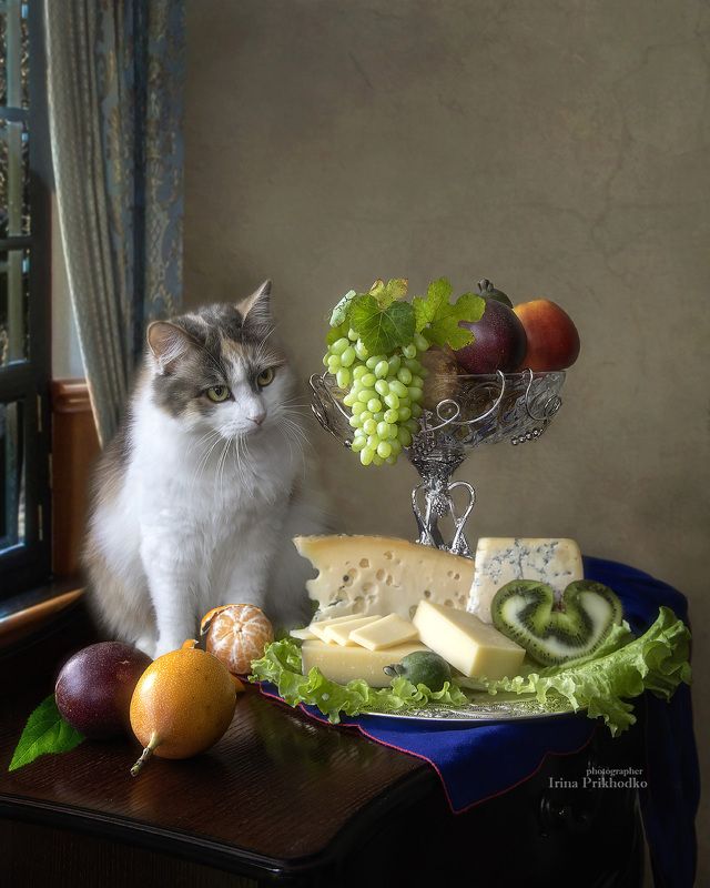 Натюрморт с сыром и Бусей фото превью