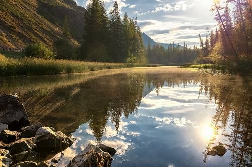 Золотой рассвет