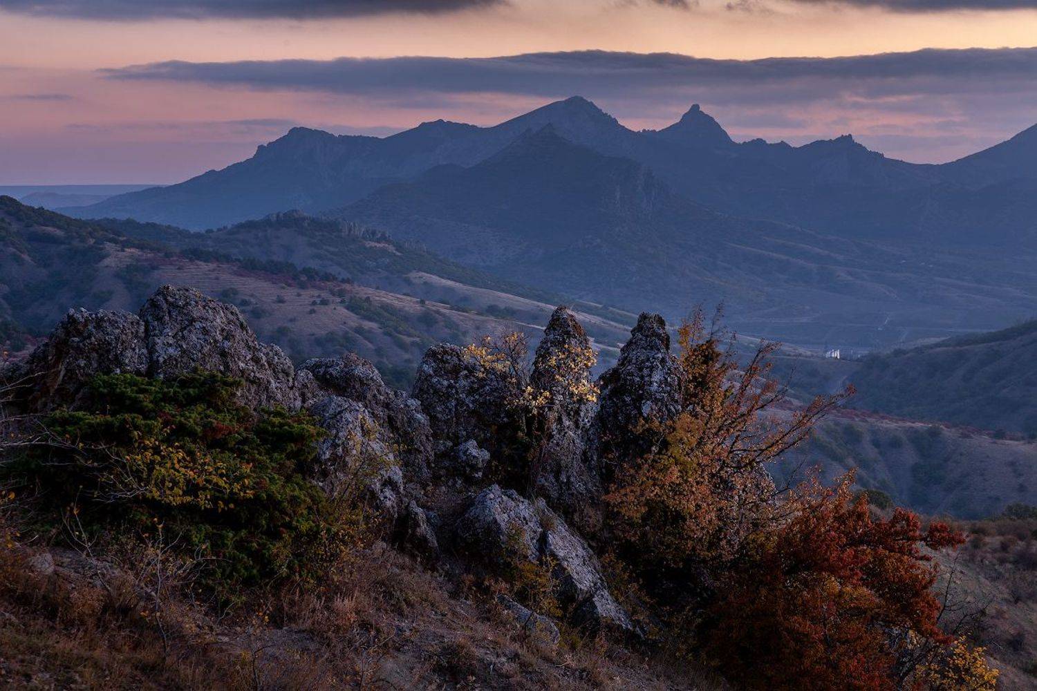, Андрей Гусаченко