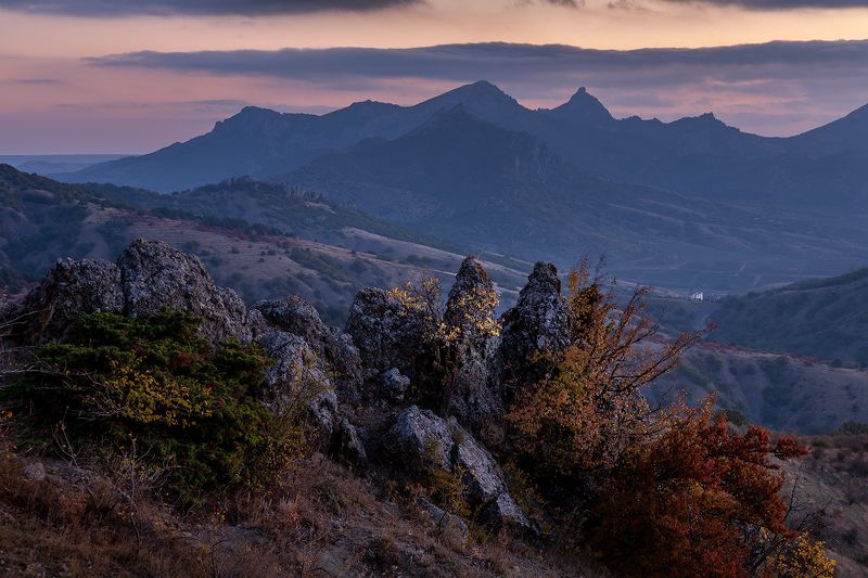 цвет осени фото превью