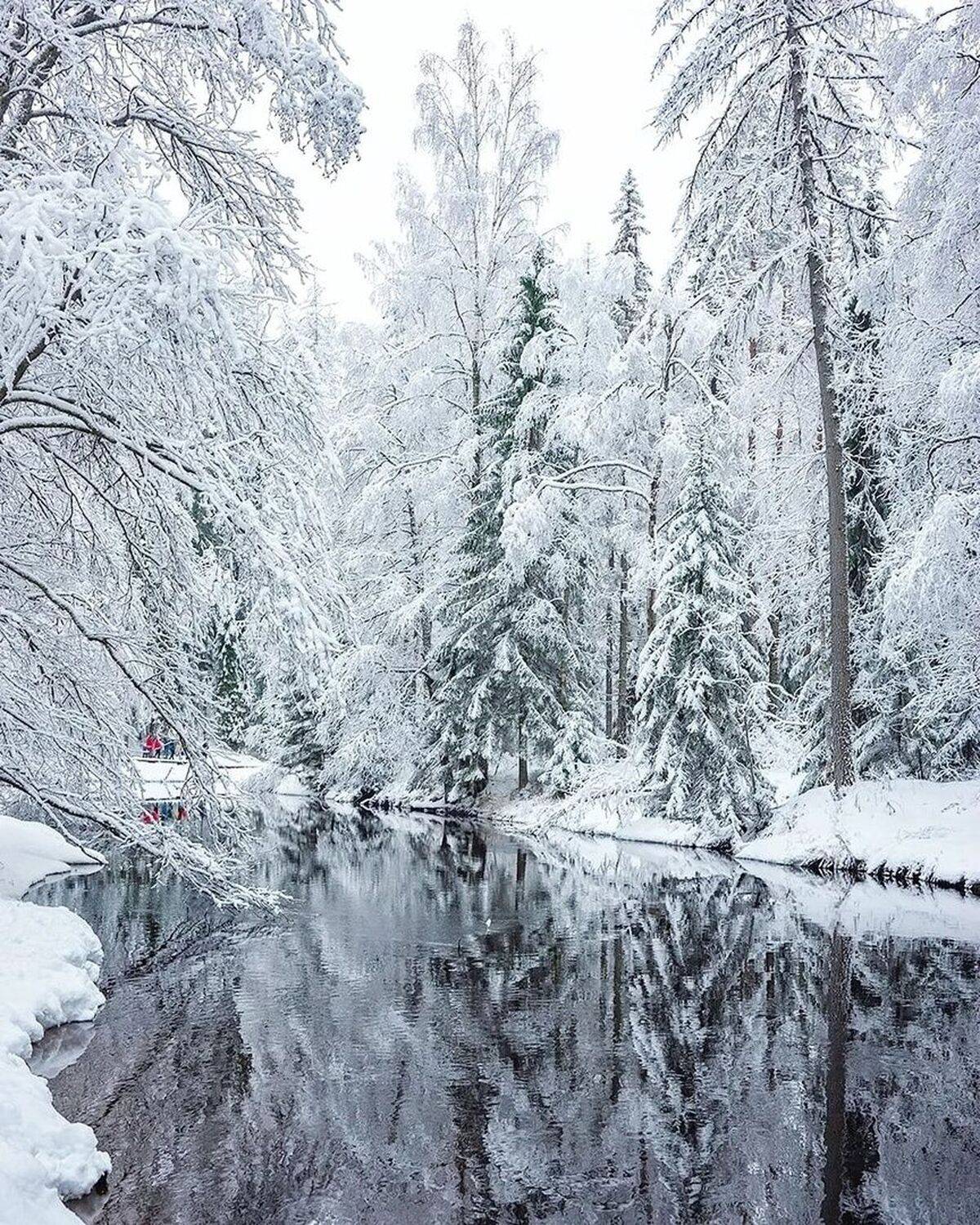 , Петр Косых