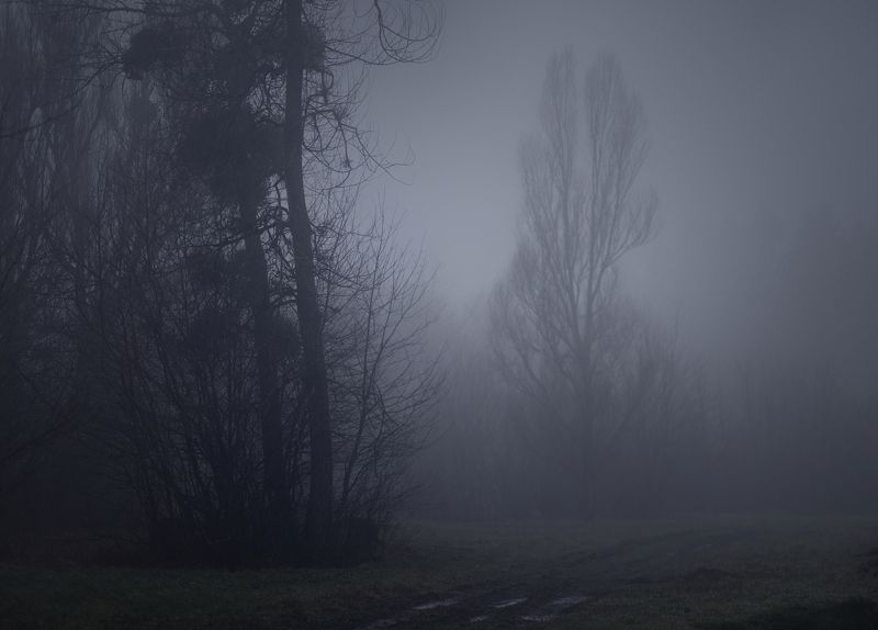 Туманное утро фото превью