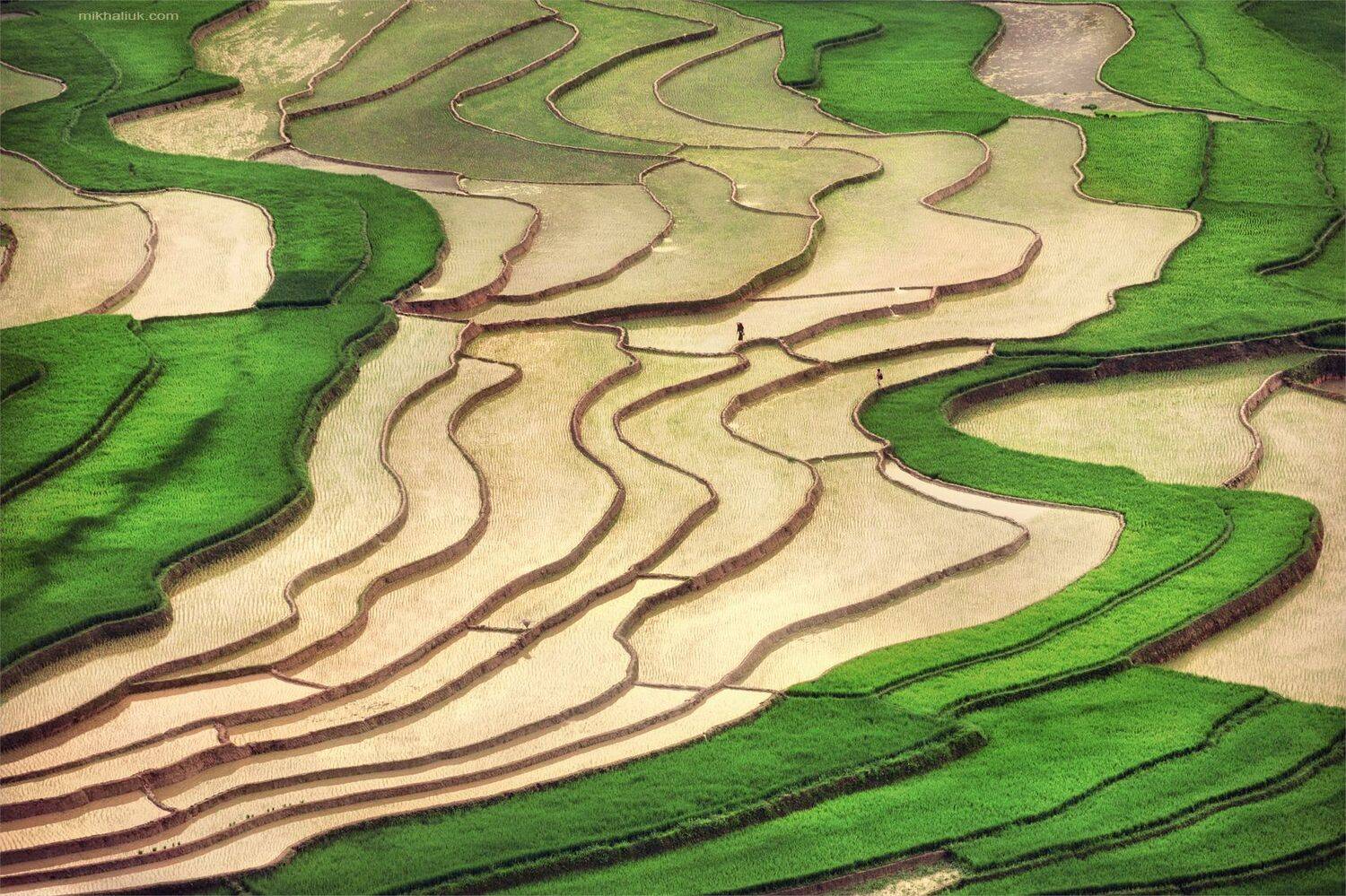 , Михалюк Сергей *