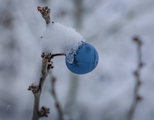 Разноцветная зима