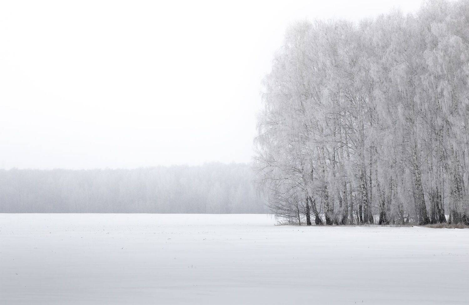 , Чудинин Дмитрий