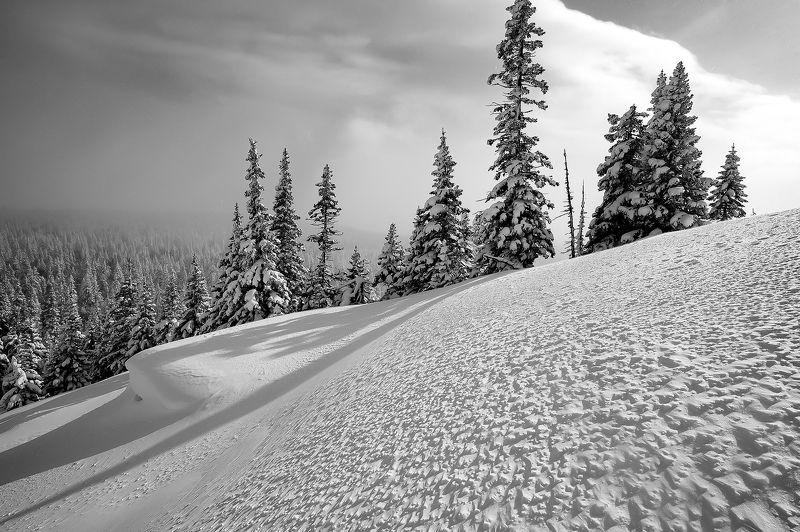 Зигальга фото превью