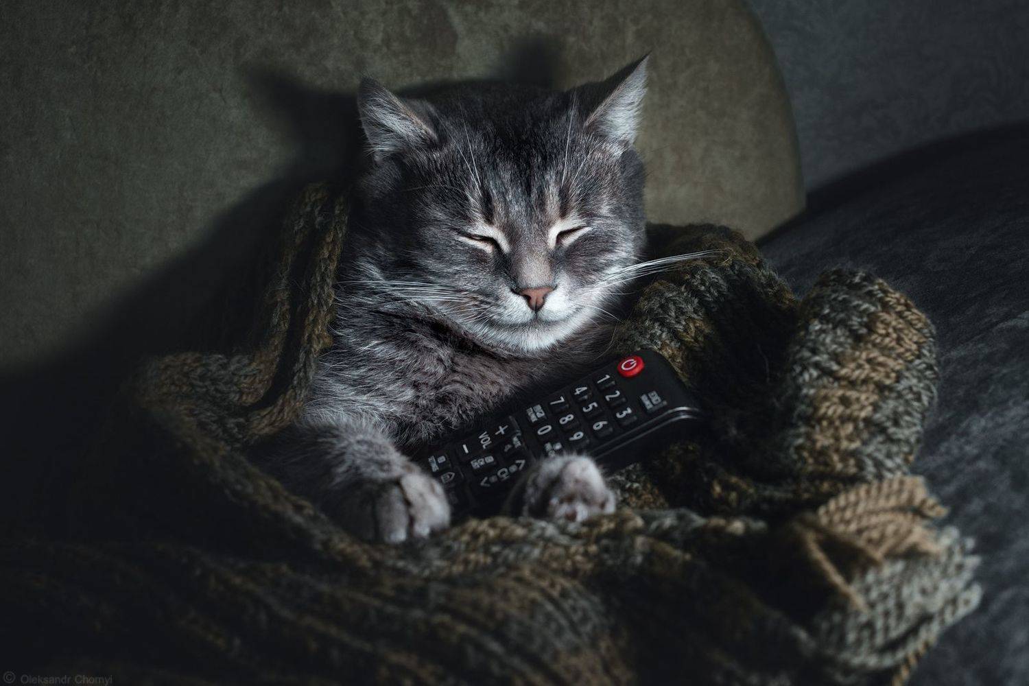 , Александр Чорный