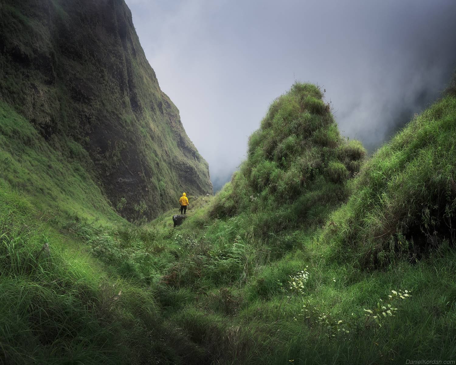 , Даниил Коржонов