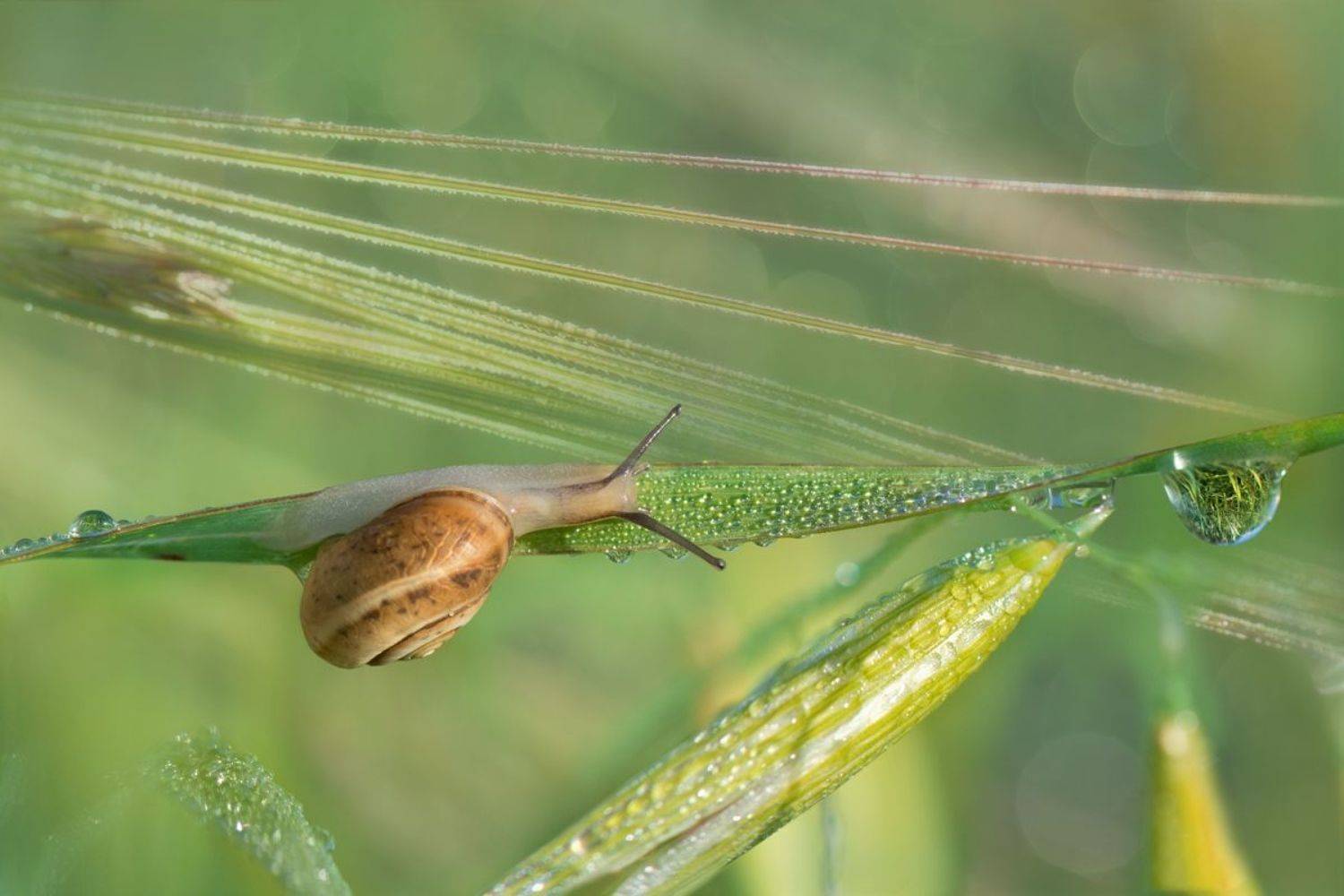 , Людмила Бекман