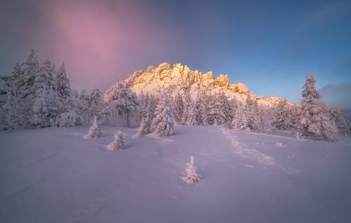 Зимним утром