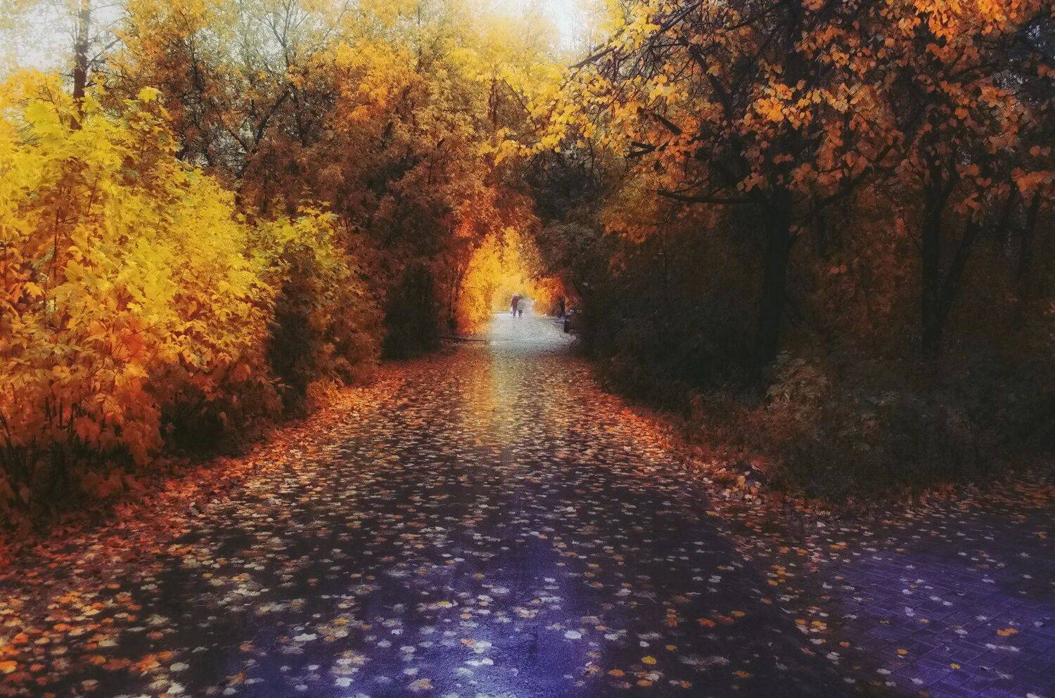 , Сергей Клапишевский