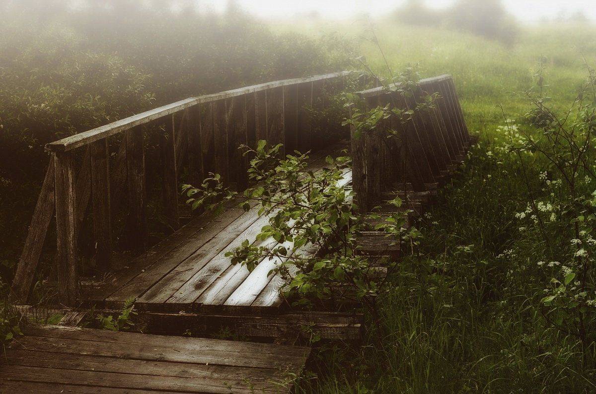 , Сергей Клапишевский