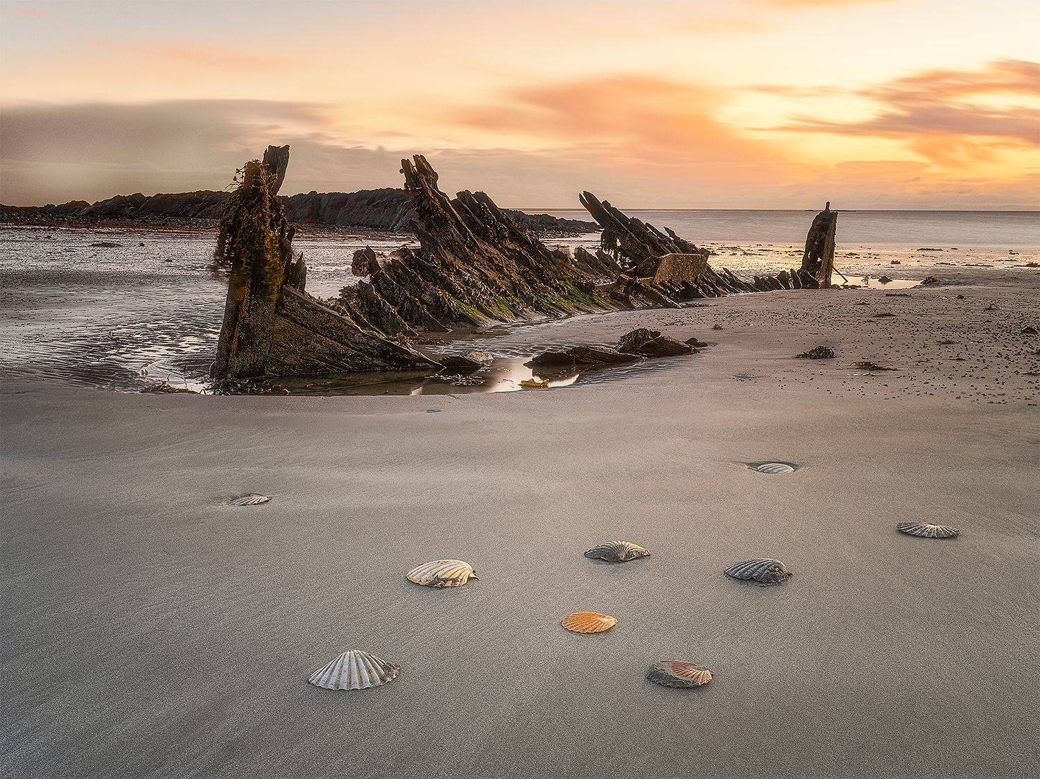 , Рашид Хайданов