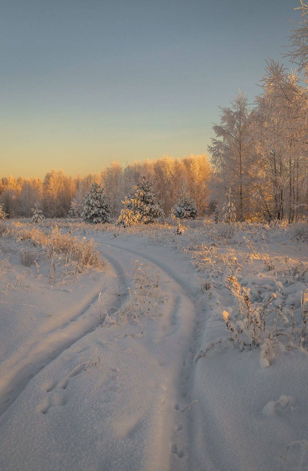 , Шуплецов Алексей