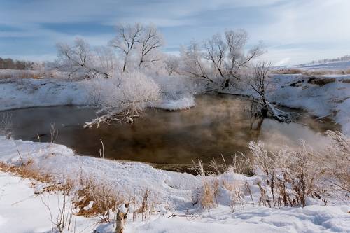 Хрустальные деревья бывают