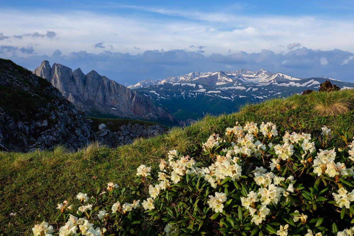адыгея, ачешбоки, большой тхач, рододендроны, горы, Константин Шишкалов