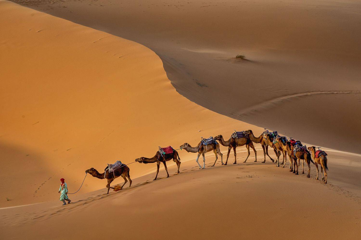 , Костадин Маджаров