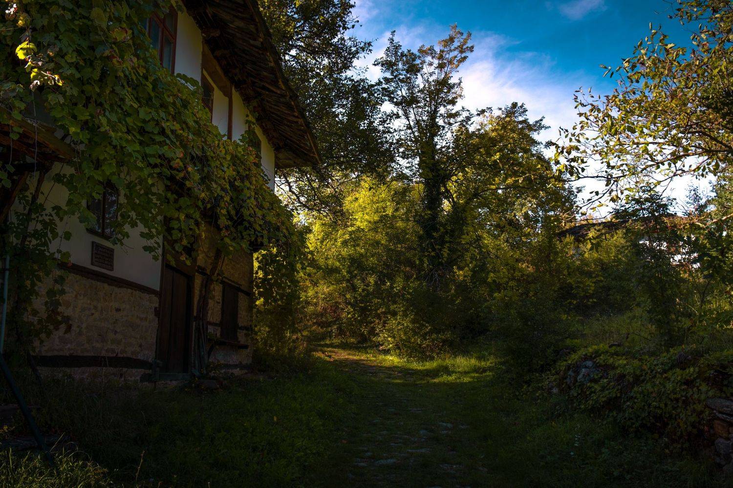 bulgaria,gabrovo,bozhentsi,travel,green,white,flowers,summer,exterior,building,house, Борислав Алексиев