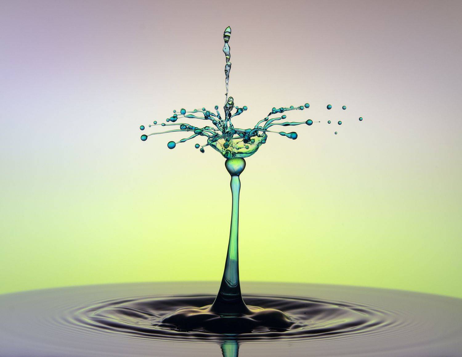 WATER,LIQUID,SPLASH PHOTOGRAPHY,ABSTRACT,TIME STOP,SPEED LIGTH,YOUSEF SAYADI,BLUE,YELLOW,MAGENTA,LIQUID ART,ABSTRACT ART,DROPS,MACRO,REFLECTIVE,HIGH SPEED PHOTOGRAPHY, Sayadi Yousef