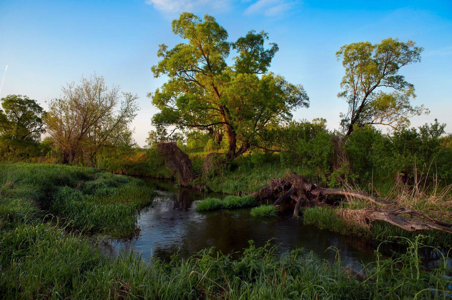 большая верейка, летний пейзаж,  воронежская область, скляево, Рукин Иван