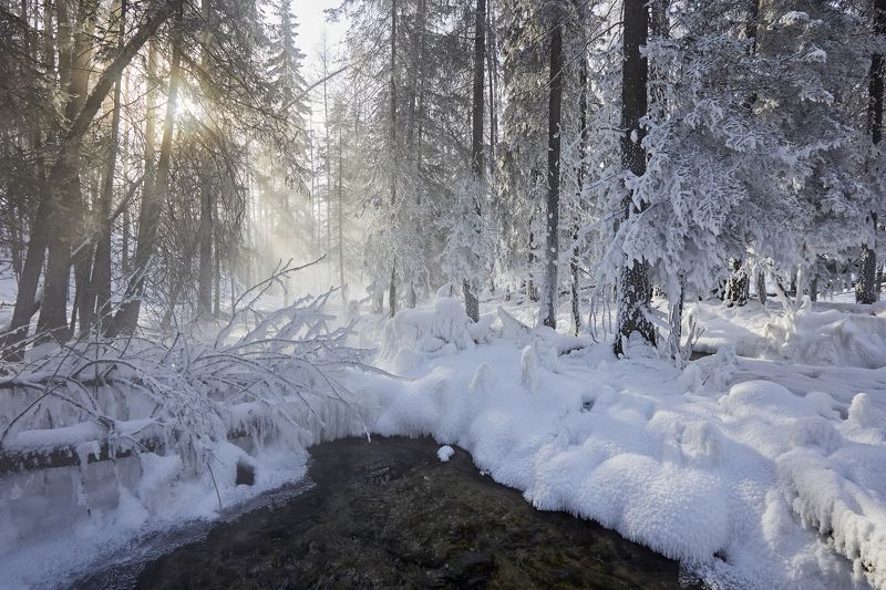 Зимняя сказка фото превью