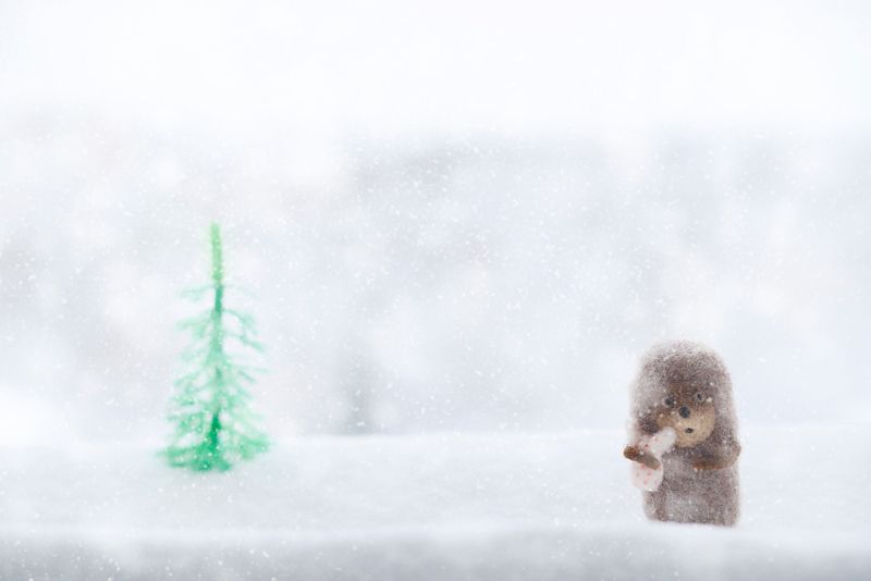 ёжик в тумане, ёж, ёжик, еж, ежик, туман, настроение, новый год, зима, снег, ёлка, елка, новогоднее, мультфильм, мультик, ссср, ностальгия, винтаж Новогоднее фото превью