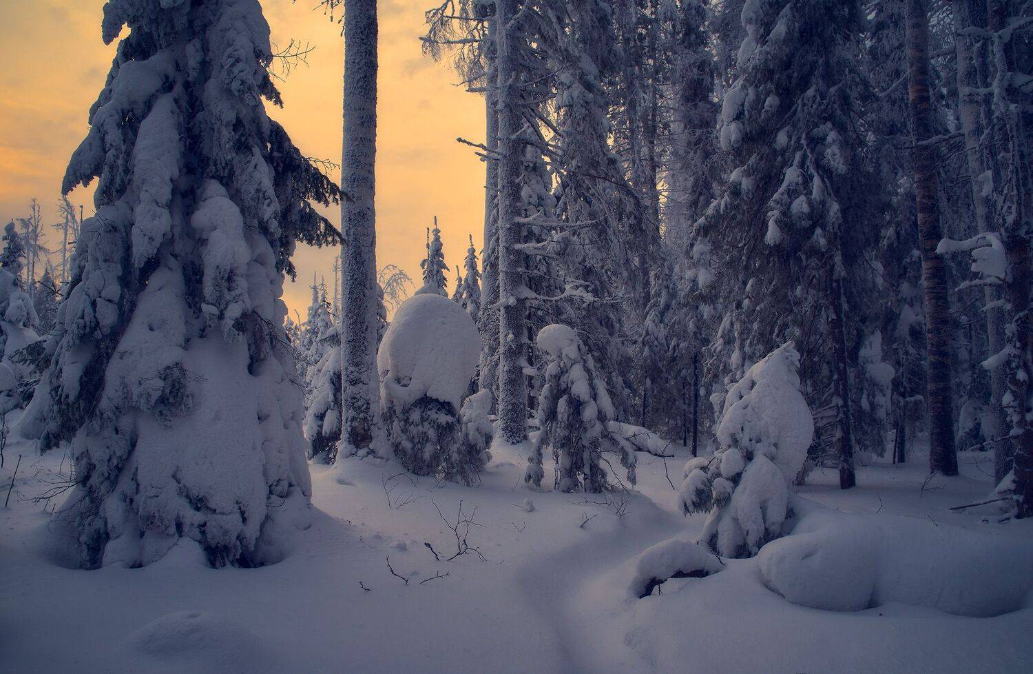 , Сергей Межин